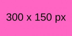 300x150 Rosa